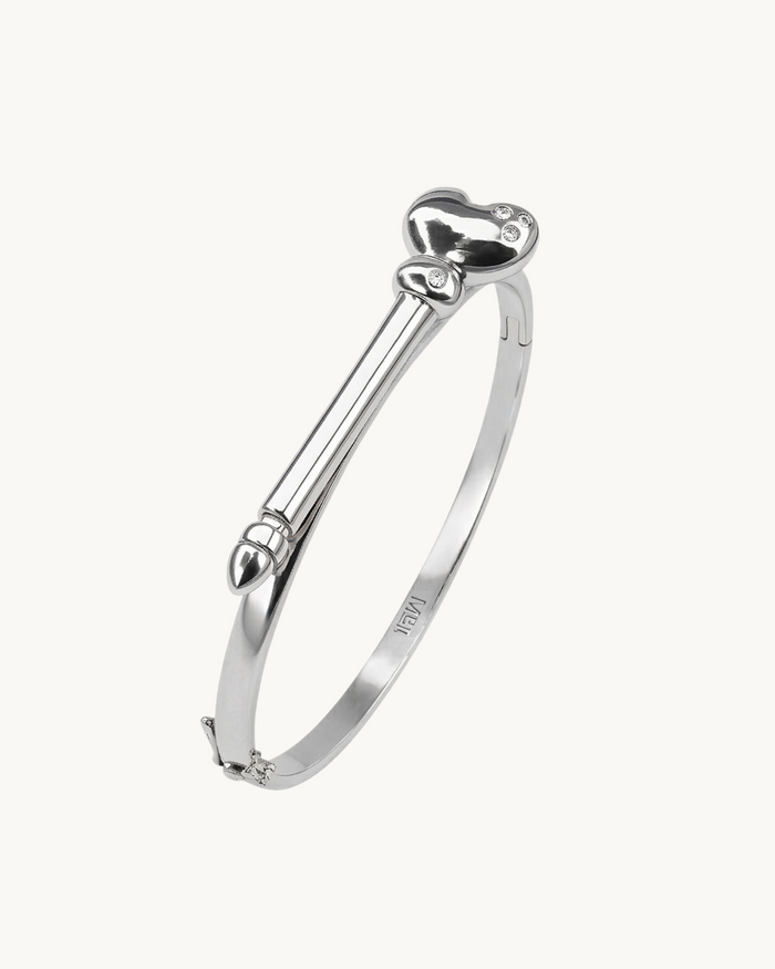 Omnia Bracelet Silver