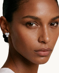 Omnia Studs